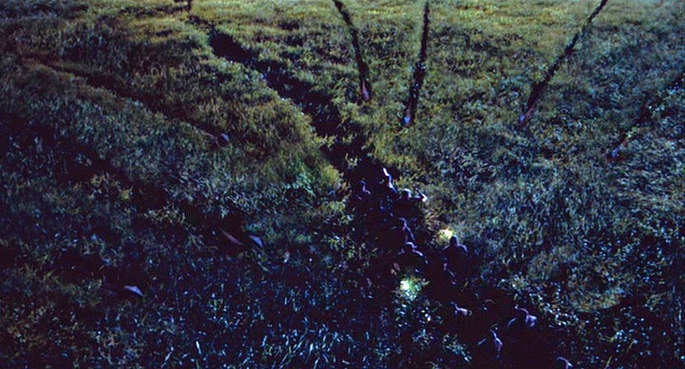 Scène des raptors dans les herbes hautes du Monde perdu : Jurassic Park.