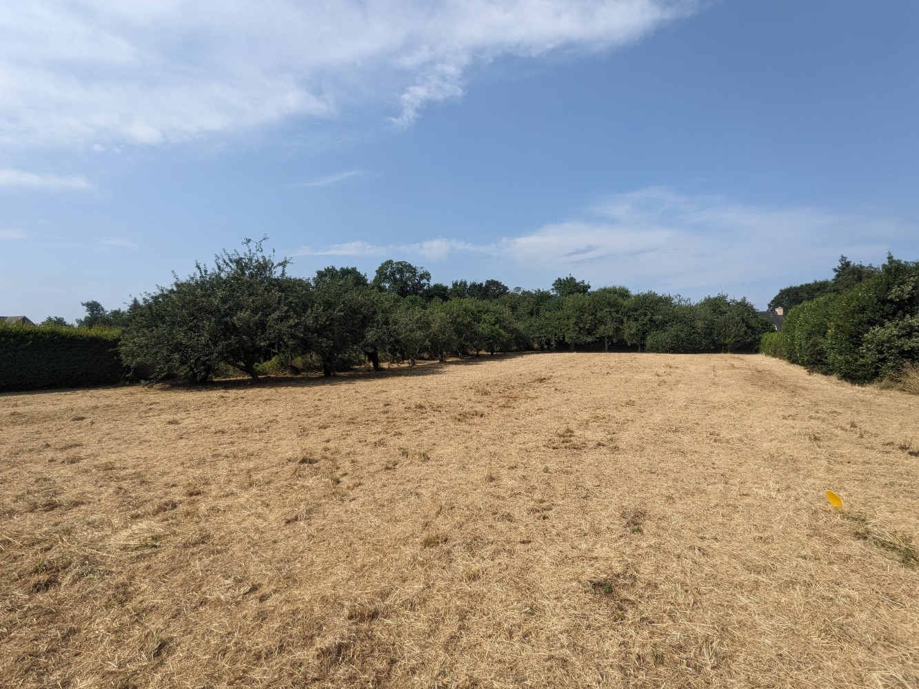 Terrain du lotissement débroussaillé et remis en état à Tréméoc.