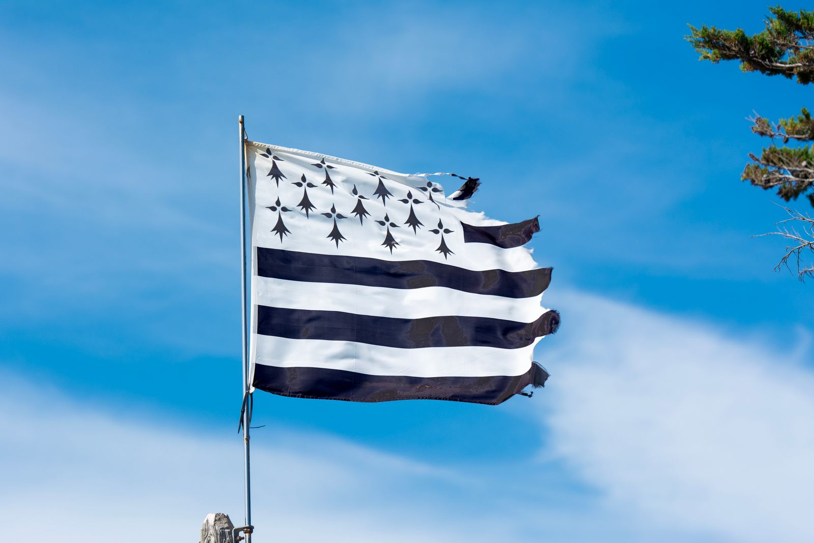 Le drapeau breton Gwenn ha Du claquant au vent, en gros plan, sur fond de ciel bleu.